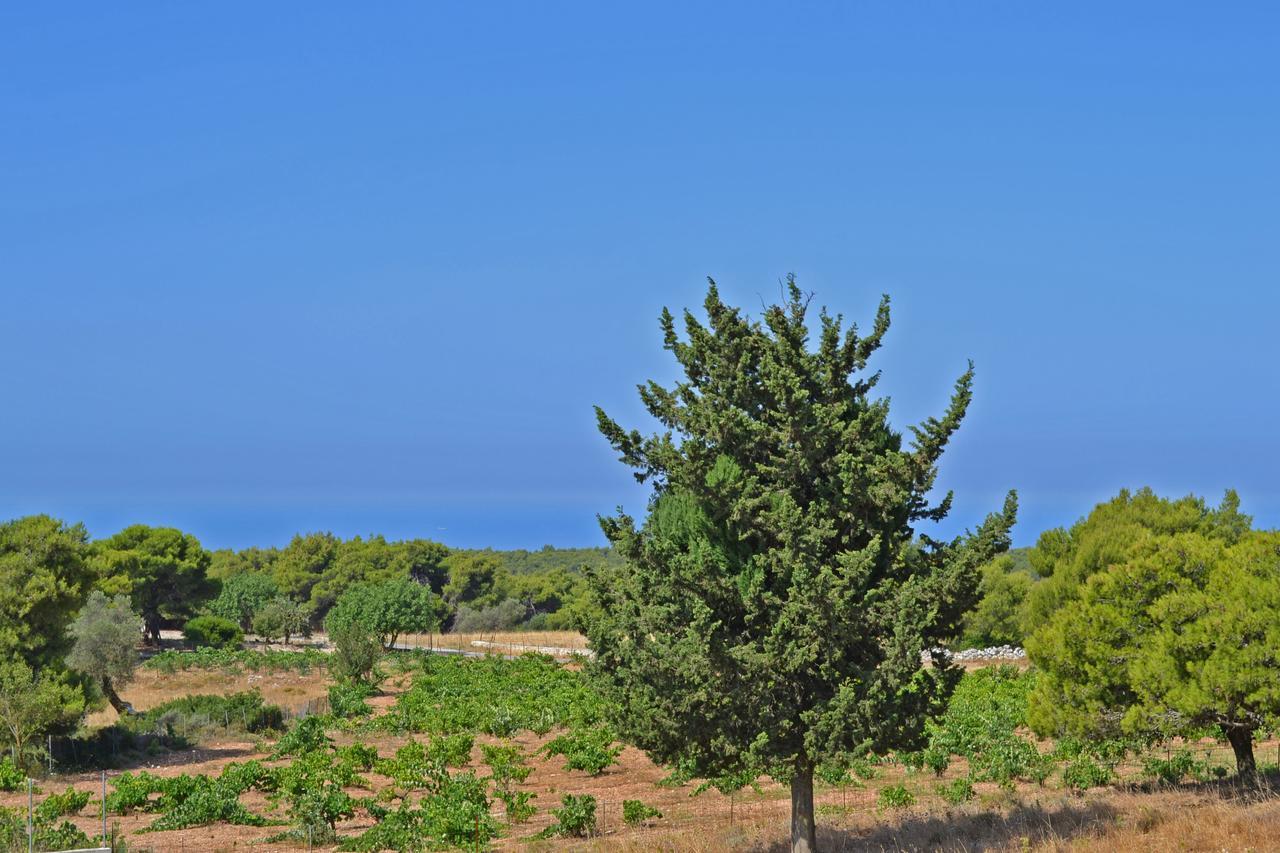 Pine Tree Apartment & Sunset By "Elite" Agios Nikolaos  Exterior photo